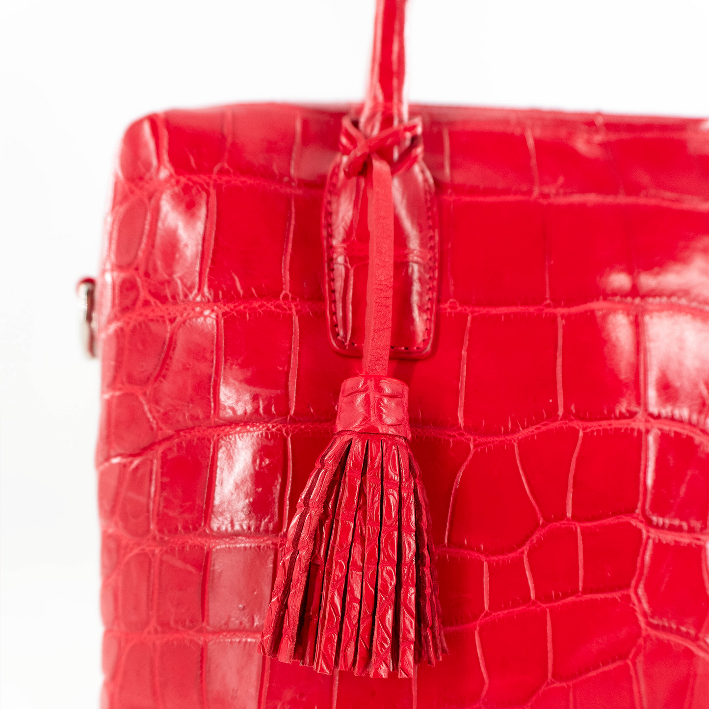 Vanessa Handbag in Matte Red Crocodile Belly Skin